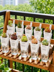 1/2/4/5pcs Small Hydroponic Self-Watering Pots, Transparent Self-Watering Plant Pots, Suitable For Indoor Plants, Semi-Hydroponic Pots, Transparent Plastic Pots, Suitable For Cuttings, Seedlings And African Violets - Multi-color - View 4