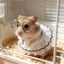 Hamster Princess Dress With Glasses Cute Outfit Set, Fun Golden Hamster Lace Trim Dress Photo Prop - Multicolor - View 5