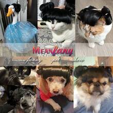 1 buah Aksesori Kepala Hewan Peliharaan Lucu, Termasuk Wig Kucing & Anjing dengan Poni, Kepang, dan Desain Afro, Sempurna untuk Cosplay, Pemotretan, dan Kostum Pesta - MultiWarna - View 8