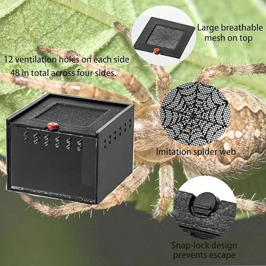 Acrylic Reptile Box Pet Crawler Cage Spider Scorpion Beetle Insect Breeding Box - Multicolor - View 1