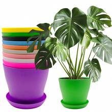 Pack Of 10 Small Plastic Plant Pots With Saucers, 10 Cm, Colourful Mini Planter Set For Indoor And Balcony Plants - 10pcs - View 5