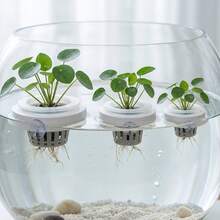 1pc S/M/L Floating Aquarium Plant Holder With Suction Cup, Round Hydroponic Net Pot With Slot Holes, Aquatic Plant Root Fixator, Fish Tank Landscape Decor Accessory, Suitable For Water Celery Hydroponics - Floating Net Pot - View 2