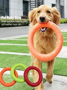 Dog Training Toy Outdoor Sports Flying Disc Interactive Pet Toy Suitable For Dogs - Multicolor - View 1