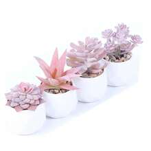Preserved Flowers - 4pcs - View 4