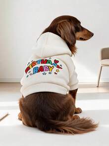 1件寵物衣服 狗貓服飾 小狗幼犬可愛春秋舒適休閒連帽衛衣系列 生日寶寶彩色衛衣 - 白色 - 查看 1