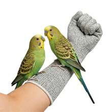 Cat Gloves Bite Proof Scratch Resistant Bite Proof Multipurpose Guard Cat Protection Gloves For Grooming Pet Parrot Bird - 45cm - View 3