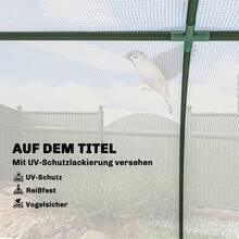 Agricultural Greenhouses - 白色 + 聚乙烯 - 查看 3