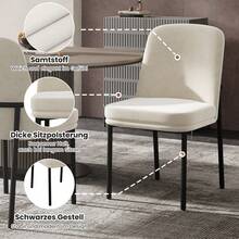 Dining Chairs Set Of 6, Beige Velvet Modern Style - 米色 - 查看 7