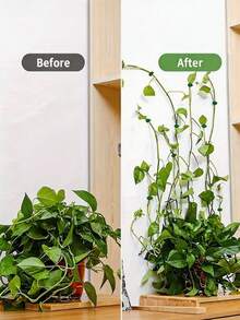 Seamless Wall Climbing Clips, No-Drill Self-Adhesive Plant Vine Support, Green Ivy Watermelon Fixing Hooks, Invisible Wire Cable Organizer, Garden Home Office Balcony Decor - Multicolor - View 5