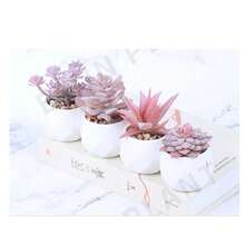 Preserved Flowers - 4pcs - View 6