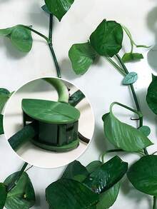 Seamless Wall Climbing Clips, No-Drill Self-Adhesive Plant Vine Support, Green Ivy Watermelon Fixing Hooks, Invisible Wire Cable Organizer, Garden Home Office Balcony Decor - Multicolor - View 2