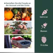 Agricultural Greenhouses - 綠色+塑料 - 查看 4