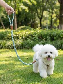柔軟舒適耐用尼龍三色編織時尚寵物牽繩，適用於比熊犬、泰迪犬及其他小型犬種，用於狗狗和貓咪散步（不適用於中型和大型犬種） - 彩色 - 查看 4