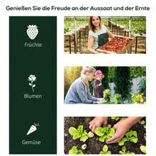 Agricultural Greenhouses - 透明塑膠 - 查看 4