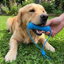 1PC Dog Teething Stick, Bite-Resistant Anti-Choking Pet Teeth Cleaning Toy, Durable With Rope Chew-Resistant Dog Chew Stick Teething Discomfort - Blue - View 5
