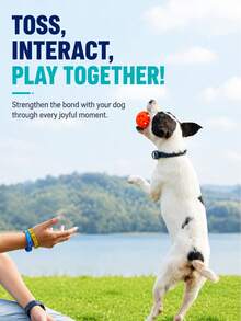 2pcs Hollow Rubber Chew Ball, Dog Entertainment Teething Toy, Suitable For Outdoor Training, Small Dog Interactive Chewable Bouncy Ball - Multicolor - View 3