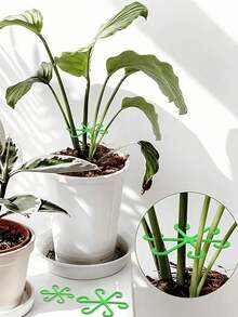 4/1 buah Tiang Penyangga Tanaman Transparan (8 buah/4 buah), Desain Punggung Kura-kura Anti Selip, Cocok untuk Tanaman Merambat, Bunga, dan Bibit. Penyangga Multifungsi Gaya Bambu, Cocok untuk Berkebun, Berkemah, Lengkungan Pernikahan, dan Dekorasi Ruangan. Tahan Lama, Dapat Digunakan di Dalam dan Luar Ruangan. - A - View 8