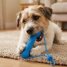 1PC Dog Teething Stick, Bite-Resistant Anti-Choking Pet Teeth Cleaning Toy, Durable With Rope Chew-Resistant Dog Chew Stick Teething Discomfort - Blue - View 7
