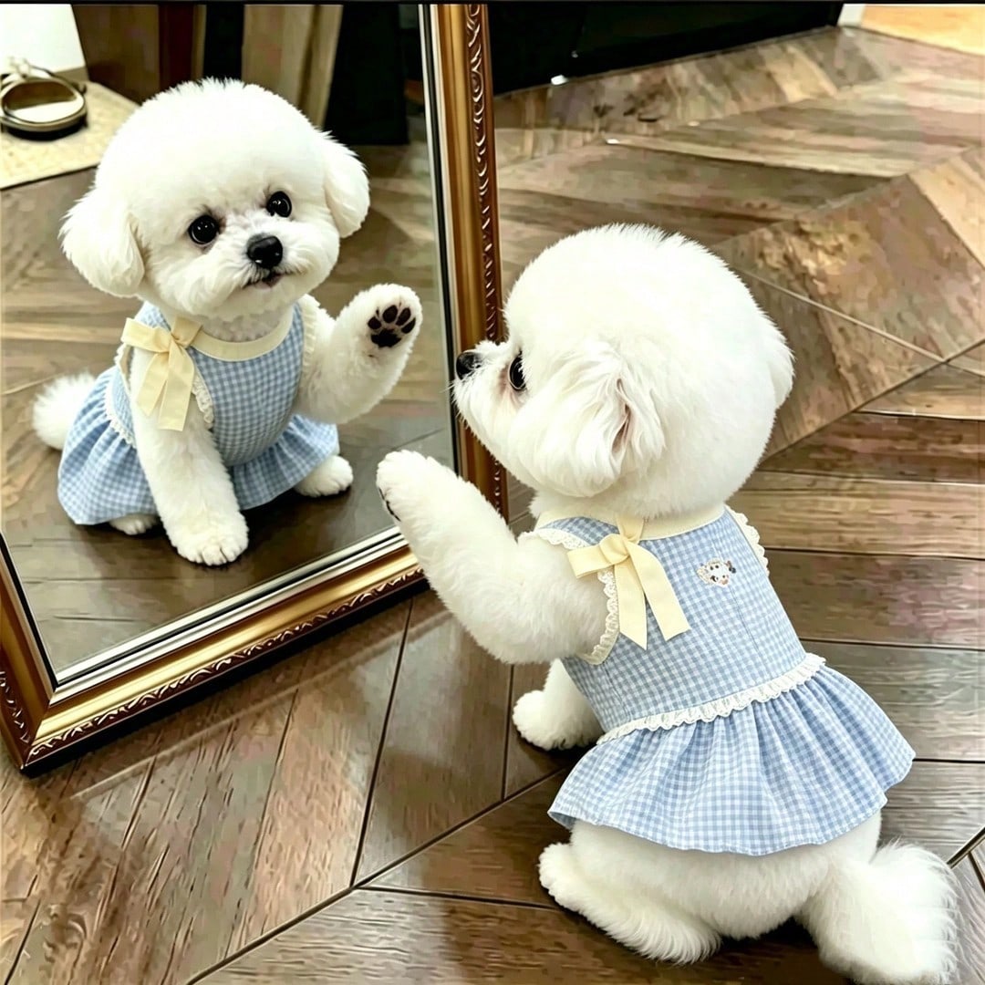 1pc Blue Plaid Pet Dress, Casual Comfortable Breathable, Cat/Dog Princess Dress, Lace Trim Bow Decor, Pet Clothing