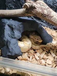 Reptile Hide Cave, Reptile Hideout Shelter For Gecko, Lizard, Snake & Turtle, Terrarium Habitat Decor, Reptile Tank Accessories, Pet Cave - View 2