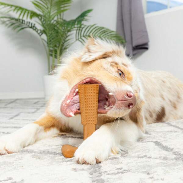 1pc T-Shaped Pet Dog Chew Toy - Unbreakable, Textured Grooves And Ergonomic Grip, Durable Plastic Chewing Toy, Suitable For Aggressive Chewers, Puppies And Adult Dogs