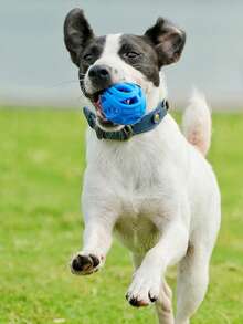 2pcs Hollow Rubber Chew Ball, Dog Entertainment Teething Toy, Suitable For Outdoor Training, Small Dog Interactive Chewable Bouncy Ball - Multicolor - View 5