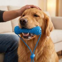 1PC Dog Teething Stick, Bite-Resistant Anti-Choking Pet Teeth Cleaning Toy, Durable With Rope Chew-Resistant Dog Chew Stick Teething Discomfort - Blue - View 1