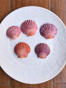 5pcs/10pcs/12pcs Natural Pink Scallop Shells, Ocean Handmade Materials, Suitable For DIY Materials, Aquarium Decor, Home Bathroom Decoration, Party Aromatherapy Candles, Wedding Decoration, Photography Props And Other Handmade Creations, Halloween Gifts - Set - View 13