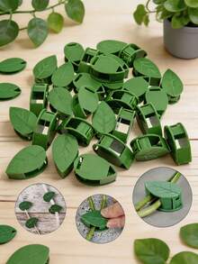 Seamless Wall Climbing Clips, No-Drill Self-Adhesive Plant Vine Support, Green Ivy Watermelon Fixing Hooks, Invisible Wire Cable Organizer, Garden Home Office Balcony Decor - Multicolor - View 1