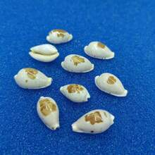 1pc Precious Seashell | Random Color And Pattern - Suitable For Replacing Small Hermit Crab Shells, Decorating Fish Tank And Aquarium Micro-Landscapes, DIY Seashell Jewelry Pendants And Niche Holiday Gifts - Random Pattern - View 2