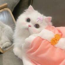 50 piezas Diademas con moño rosa para mascotas, adecuadas para accesorios de aseo y belleza de perros y gatos, decoración linda para mascotas en días festivos - Multicolor - Ver 3