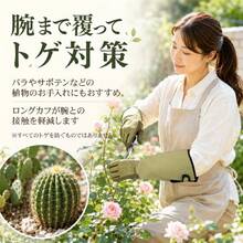 ガーデニンググローブ 園芸用手袋 ロング手袋 全長41.5cm トゲ対策 バラ剪定用 手袋 作業用 手袋 農作業用 草取り 庭仕事 指先補強 面ファスナー付き 洗濯OK 防護グローブ 2枚セット 園芸用品 - A - チェックする 1