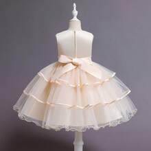 Young Girl Embroidered Puff Princess Dress, Girls Dress For Wedding Flower Girl, Birthday Party, Holiday, Performance, Little Formal Dress - Champagne - View 5