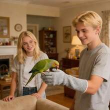 Cat Gloves Bite Proof Scratch Resistant Bite Proof Multipurpose Guard Cat Protection Gloves For Grooming Pet Parrot Bird - 45cm - View 7
