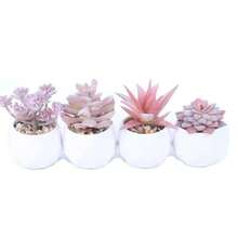 Preserved Flowers - 4pcs - View 5