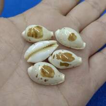 1pc Precious Seashell | Random Color And Pattern - Suitable For Replacing Small Hermit Crab Shells, Decorating Fish Tank And Aquarium Micro-Landscapes, DIY Seashell Jewelry Pendants And Niche Holiday Gifts - Random Pattern - View 3