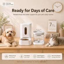 3.6L Automatic Food Dispenser + 1.8L Circulating Water Fountain 2-In-1 Automatic Pet Feeder And Water Dispenser Set For Cats And Small Dogs, Indoor Use - Light Gray - View 5