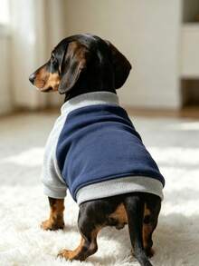 1PC Navy Blue Contrast Color Raglan Sleeve Pet Sweatshirt, Soft Elastic Pullover, Casual Autumn/Winter Clothing For Kittens And Small Dogs - Navy Blue - View 1