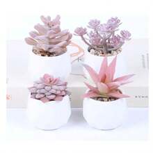 Preserved Flowers - 4pcs - View 2