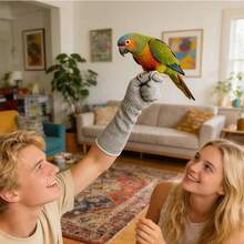 Cat Gloves Bite Proof Scratch Resistant Bite Proof Multipurpose Guard Cat Protection Gloves For Grooming Pet Parrot Bird - 45cm - View 6