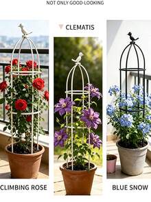Garden Trellis, Birdcage Style Trellis, Decorative Vine Climbing Rack, Suitable For Patio And Balcony, Suitable For Supporting Climbing Plants Like Roses And Clematis, Decorative Flower Rack - Multicolor - View 2
