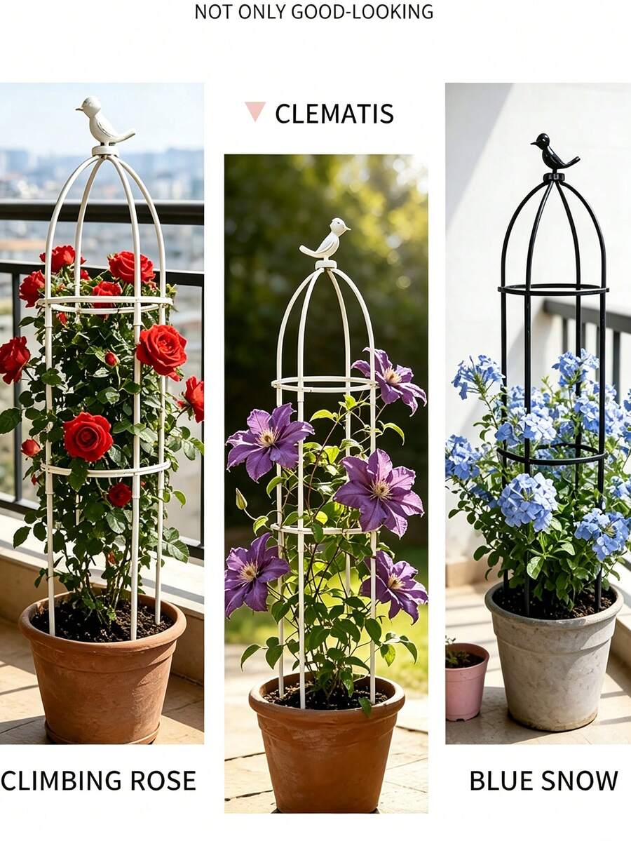 Garden Trellis, Birdcage Style Trellis, Decorative Vine Climbing Rack, Suitable For Patio And Balcony, Suitable For Supporting Climbing Plants Like Roses And Clematis, Decorative Flower Rack - Multicolor - View 1
