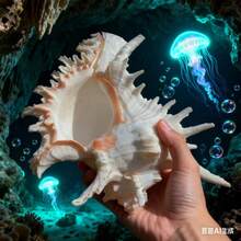 Large White Conch Shell, Home Decor, Aquarium Landscaping, Aquarium Decoration, Large Conch Shell, Home Decor Ornament, Home Life Decoration, Aquarium Landscape, Aquatic Decoration, Specimen Decoration, Home Decor - 1PC - View 4