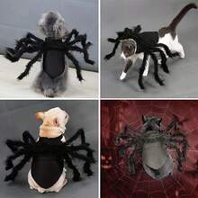 1 Set Pet Spider Costume, Halloween Spider Outfit, Suitable For Cats And Small To Medium Dogs, Halloween Party Dress-Up Accessory - Black - View 6