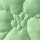 Pastel Green