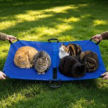 Large Dog Stretcher With Handles & Safety Strap,Emergency Transport Stretcher For Dogs Cats, Portable Foldable Pet Rescue Stretcher 47L X29W Inch,121lbs Capacity - Default - View 11