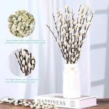 In Stock-Ships Immediately. 15 Stems Preserved PussyWillow, 17" White For Wedding Home And Fireplace Natural Plants Branches, Dried Flowers, Real Willows, Indoor Outdoor Decor, Party DIY Floral Art, Vase Fillers, Spring Easter - White - View 5