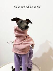 義大利灰狗/惠比特犬拼色對比色四足套裝附帽子 2件組，柔軟舒適雙面抓絨寵物狗秋冬衣裝，保暖抓絨寵物衣飾套裝 - 紫色 - 查看 7