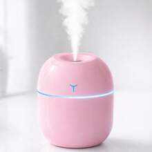 Indoor Fountain Atomizer - pink 1pc - View 1