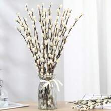 In Stock-Ships Immediately. 15 Stems Preserved PussyWillow, 17" White For Wedding Home And Fireplace Natural Plants Branches, Dried Flowers, Real Willows, Indoor Outdoor Decor, Party DIY Floral Art, Vase Fillers, Spring Easter - White - View 1